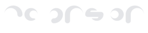 raphsonllc.com